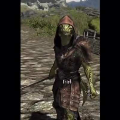 POV: Skyrim Theif