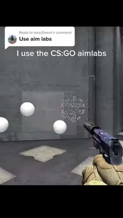 "use aim lab," they said