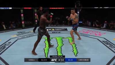 [SPOILER] Chris Weidman vs. Uriah Hall