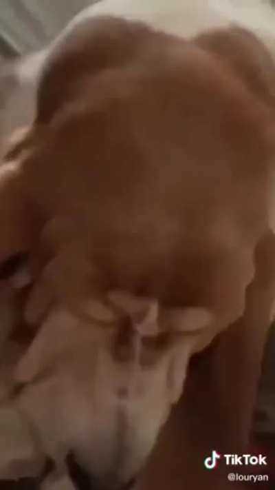 Winston is Pop Smoke