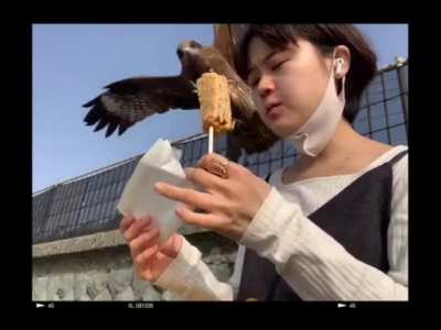 The Birds (2025): Official Teaser