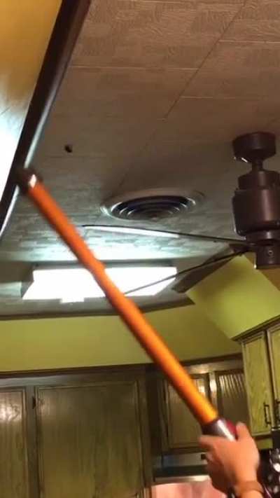 roach vs vacuum