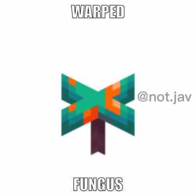 Warped Chungus