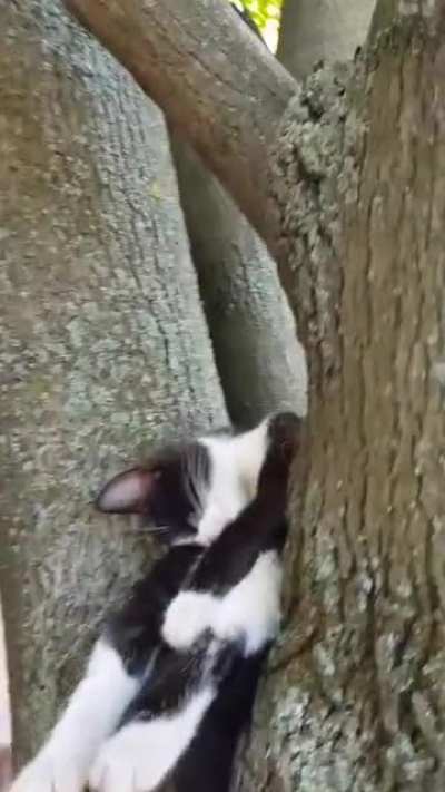 Прикорнул чутка