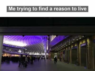 2meirl4meirl