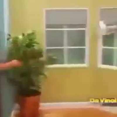 Si se muri&oacute;