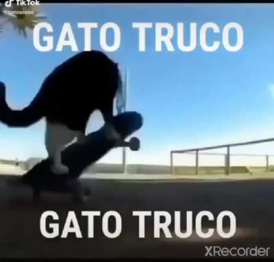 GATO TRUCO