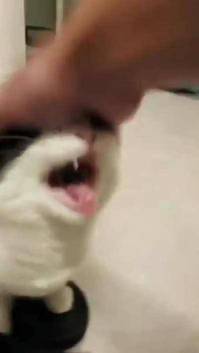 Title