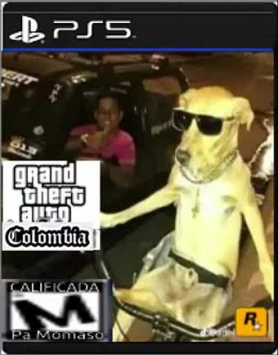 Yo y firulais despues de jugar gta6 en 2024. 🤑🔥🇨🇴