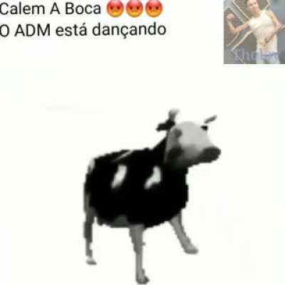 CALEM A BOCA 😡😡😡 o adm est&aacute; dan&ccedil;ando 😳✊ (quem pegar o video e gay)