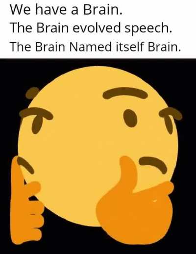 Brain...