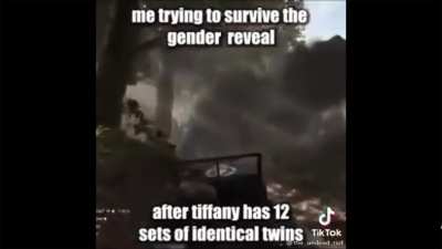 Gender reveal