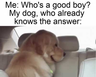 Darn right it is
