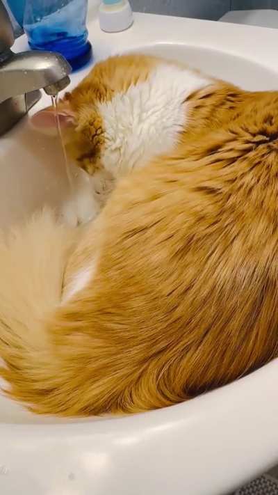 He was as tired as he was thirsty.