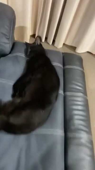 Gue
