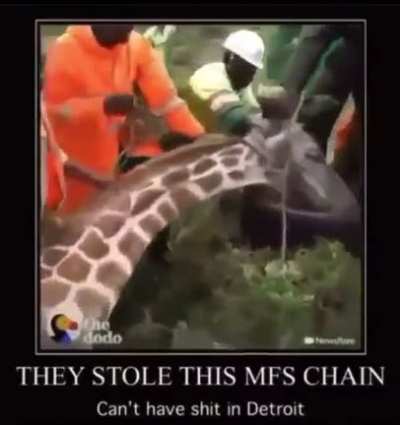 Can't have shit in Detroit