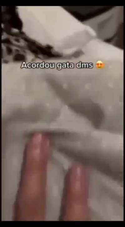 gata dimaize