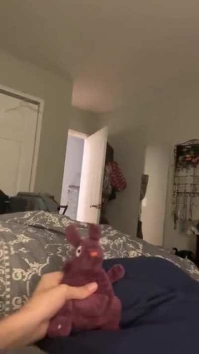 Just squeaking this toy, that's all.