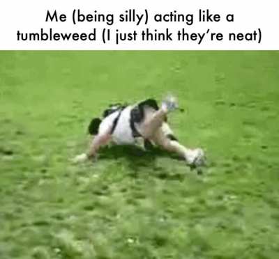 I am tumbleweed