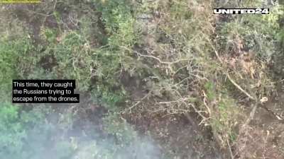 Ukraine War | Ukraine Combat Compilation(footage from August 1, 2024) Part II &bull; Hunting Russian Soldiers. Ukrainian Drone Pilots in Action. Non-Standard Strategy&amp;amp;Tactics Hunting Russian infantry in the north of the Kharkov region and footage from 225t