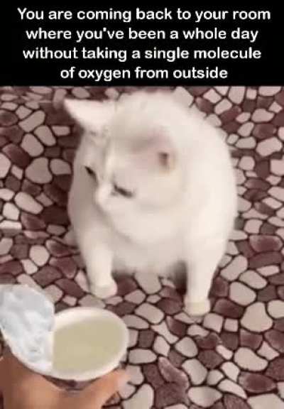 It's stinky here