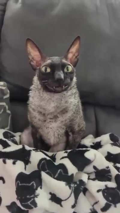 &hellip;