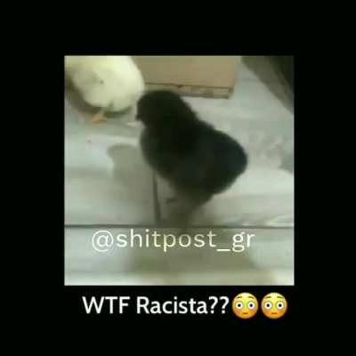 T&iacute;tulo u&eacute;?