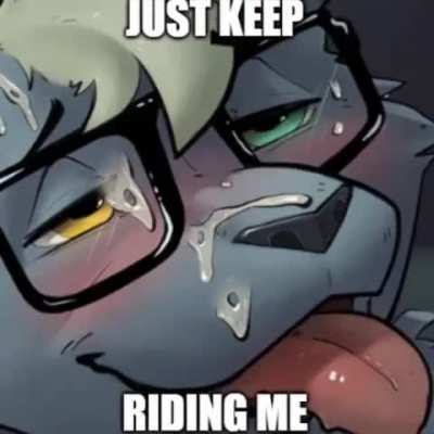 furry_irl
