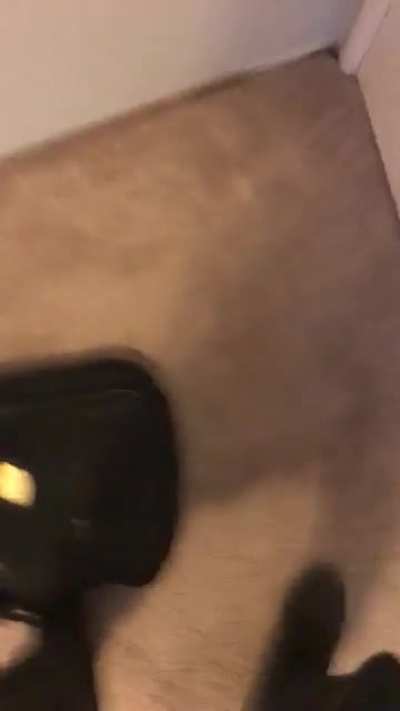 perfectlycutscreams - Video #6329