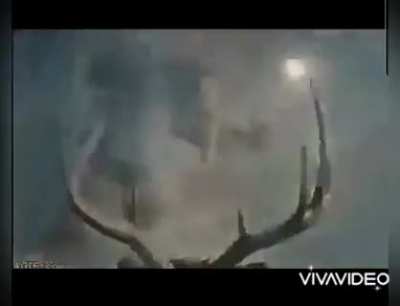 Deer vtol please