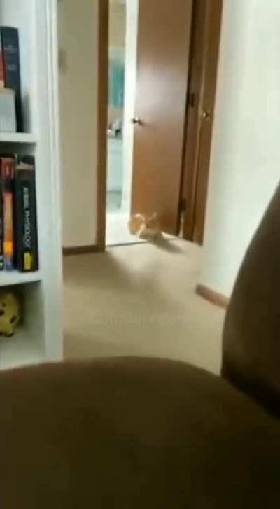 Hi hi!