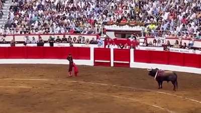 Being a bullfighter dubbed the ‘Messi of Matadors’ 