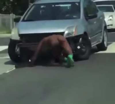 Man on PCP ripping front bumper off car