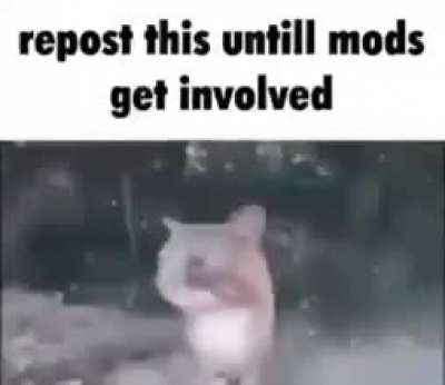 Rule