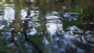 photorealistic rain simulation I made