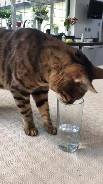 I can FEEL the water so why can&rsquo;t I DRINK it?!