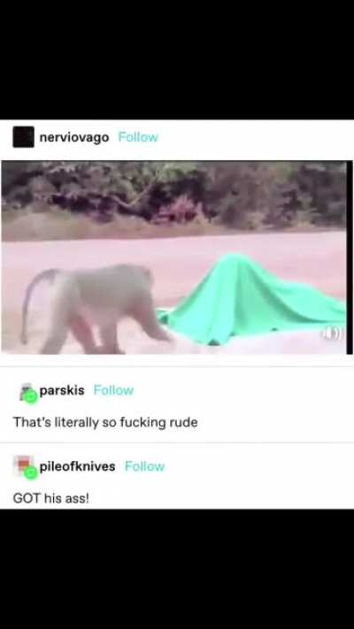 Traumatized for life.