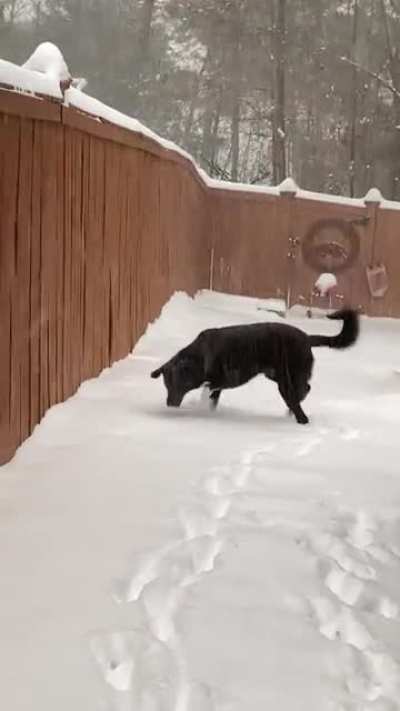 Day 42, first snow.