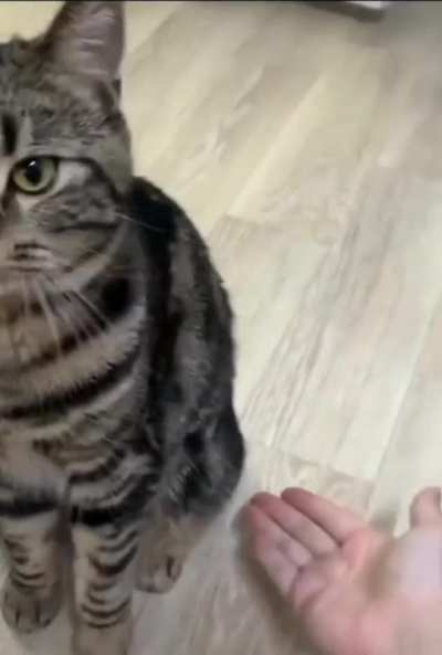 Only certain people know this secret handshake&hellip;