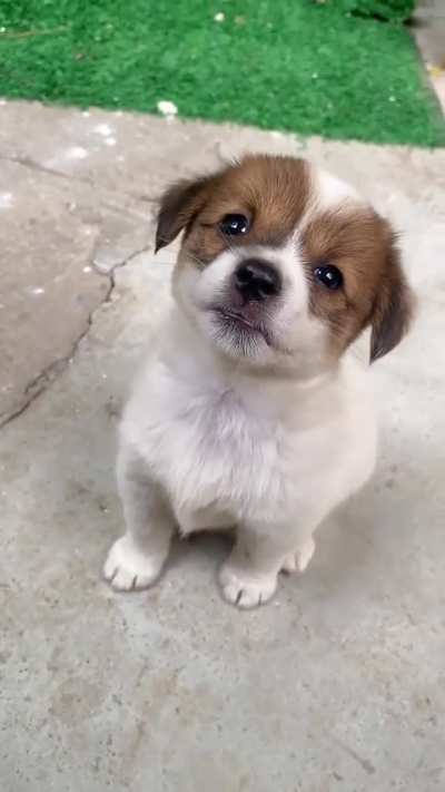What do you want handsome?