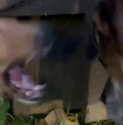 AAAAAAAAAAAUURGH
