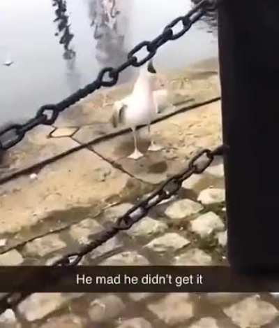 ANGERYYYYT