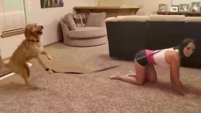 Ger&ccedil;ekten aranızda k&ouml;peklerden nefret eden varsa g&ouml;t&uuml;n&uuml; sert sikeyim