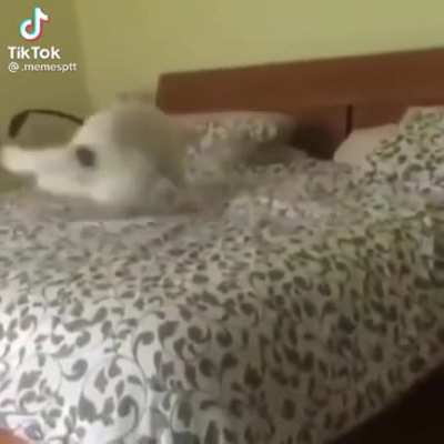 AW SH-