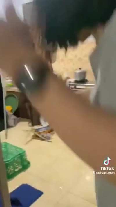 mission failed successfully