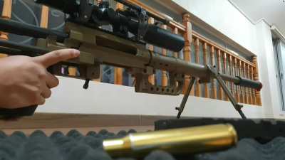 shell ejecting + bolt action =