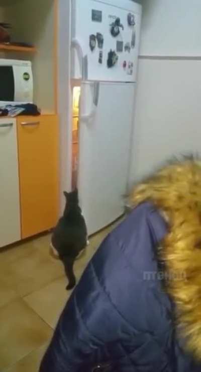 That&rsquo;s it for us humans