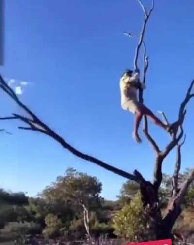 WCGW Ooops