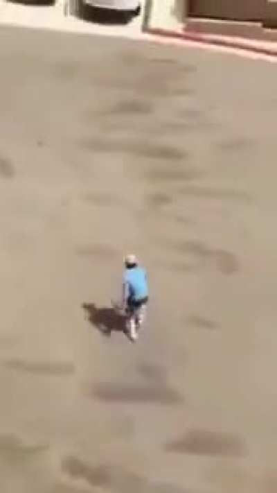 Nice Throw
