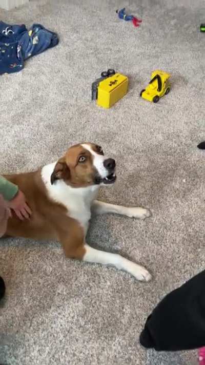 Just needing attention
